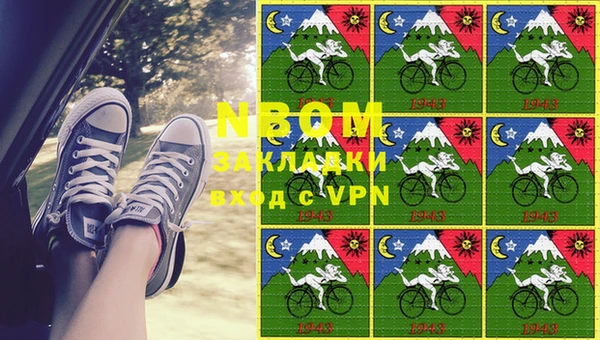 ешки Алексин