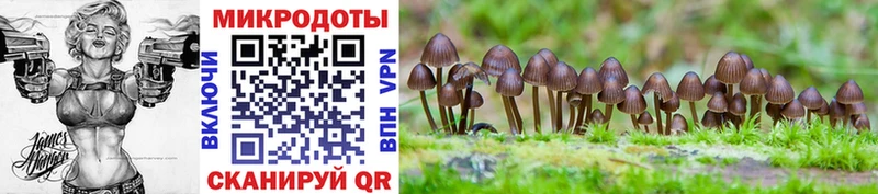 Псилоцибиновые грибы мухоморы  наркотики  Бахчисарай 